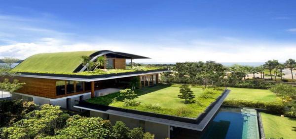 خانه هایی با سقفی از چمن های سبز؛ اسکاندیناوی