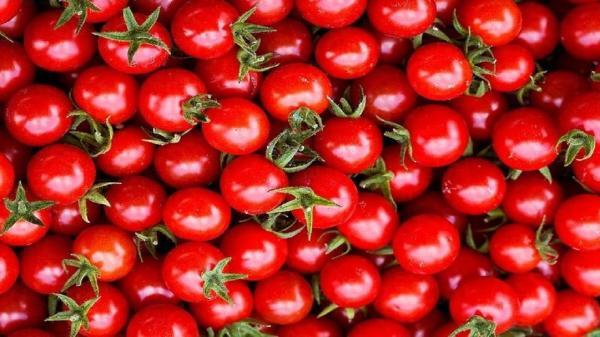 چیپس گوجه قم در راه بازار