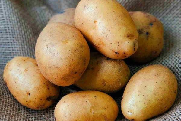 این 9 نوع کربوهیدارت را هیچ وقت از رژیم تان حذف نکنید!